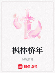 枫林桥年在线阅读
