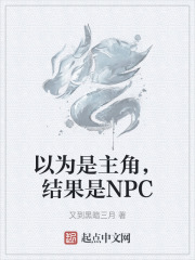 以为是主角，结果是NPC