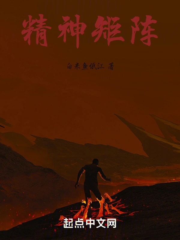 精神矩阵