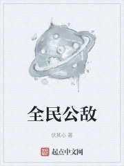 全民公敌在线阅读