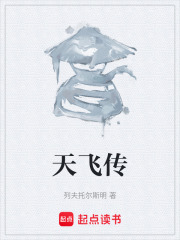 天飞传在线阅读