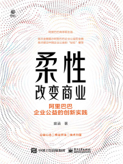 柔性改变商业：阿里巴巴企业公益的创新实践