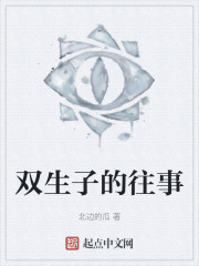 双生子的往事在线阅读