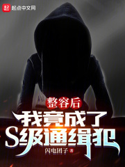 整容后，我竟成了S级通缉犯（苏墨）