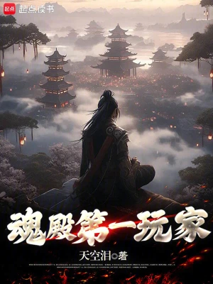 《魂殿第一玩家》（精校全本）作者：天空泪【TXT】