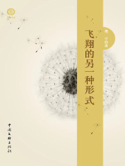 飞翔的另一种形式