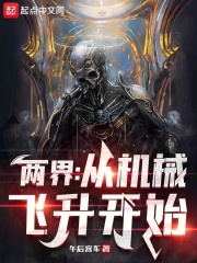 两界：从机械飞升开始