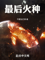 最后火种封面