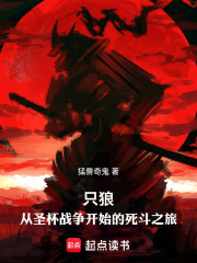 只狼：从圣杯战争开始的死斗之旅