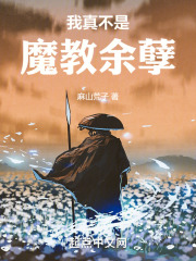 我真不是魔教余孽在线阅读