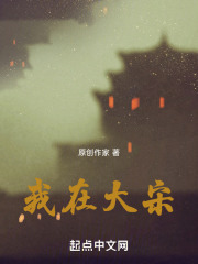 我在大宋在线阅读