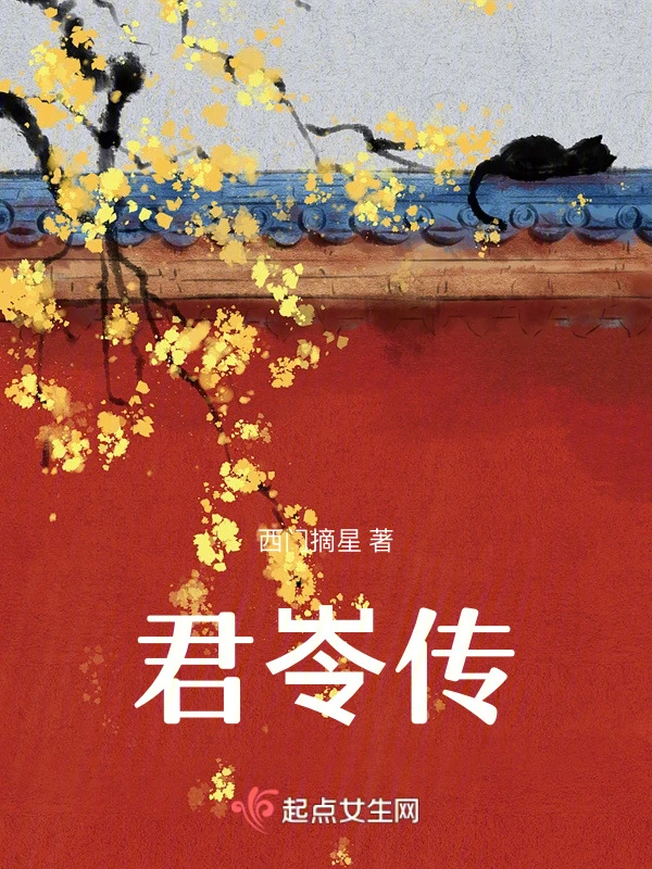 君岺传