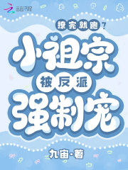 撩完就跑？小祖宗被反派强制宠