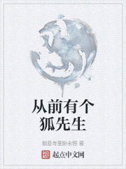 从狐先生