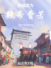 穿越成为魏帝曹芳