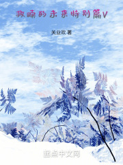 救赎的未来特别篇V