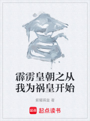 霹雳皇朝之从我为祸皇开始在线阅读