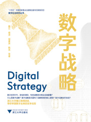 数字战略