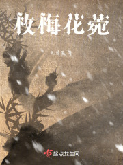 枚梅花菀在线阅读