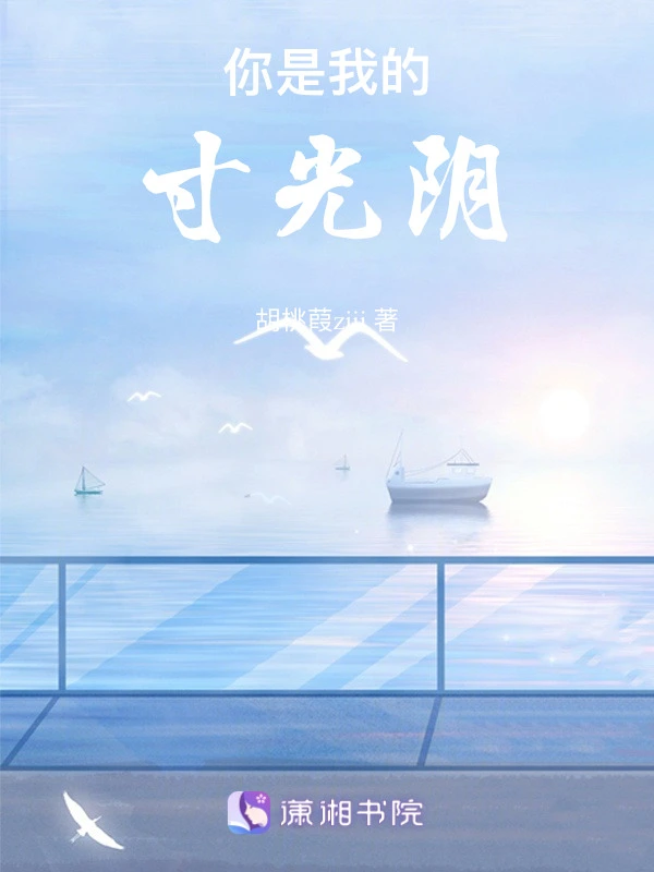 你是我的寸光阴