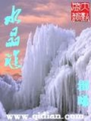 水晶谜在线阅读