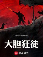 大胆狂徒！