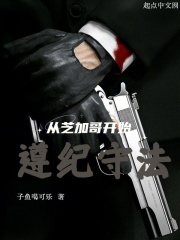 从芝加哥开始，遵纪守法在线阅读