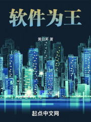 软件为王在线阅读