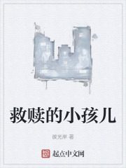 救赎的小孩儿在线阅读