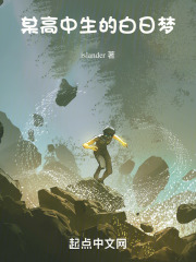 某高中生的白日梦