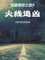 短篇奇妙之旅9火线追凶在线阅读