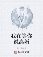 我在等你说离婚在线阅读