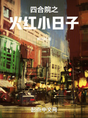 四合院之火红小日子