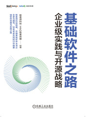基础软件之路：企业级实践与开源战略