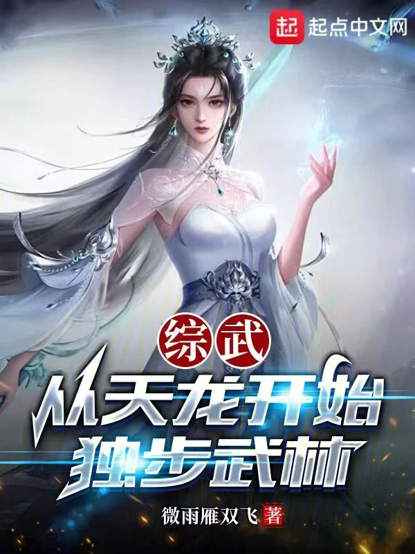 综武：从天龙开始独步武林