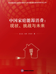 中国家庭能源消费：现状、挑战与未来