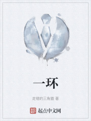 一环在线阅读