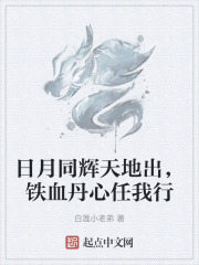日月同辉天地出，铁血丹心任我行