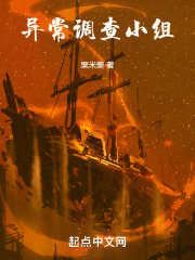 异常调查小组