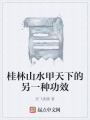桂林山水甲天下的另一种功效在线阅读