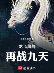 龙飞凤舞