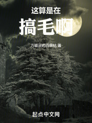 这算是在搞毛啊