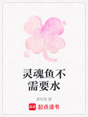 灵魂鱼不需要水在线阅读