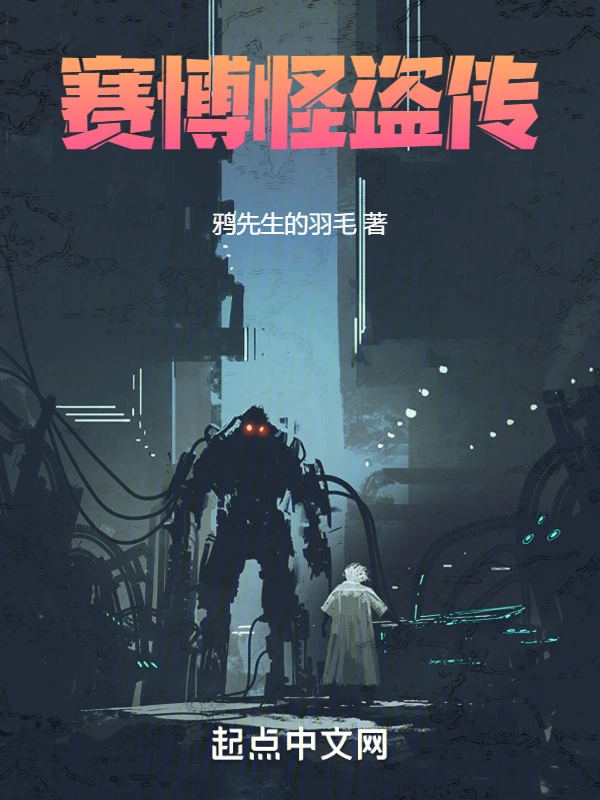 赛博怪盗传