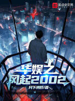 华娱之风起2002封面