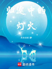 归途中的灯火在线阅读