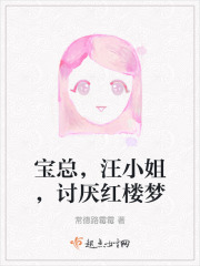 宝总，汪小姐，讨厌红楼梦在线阅读