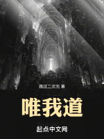 唯我道封面