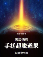 满级悟性，手搓超脱道果！封面
