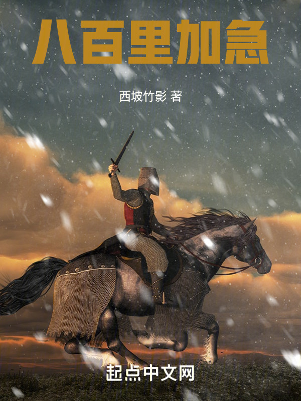 八百里加急(西坡竹影)小说在线阅读-首发起点中文网